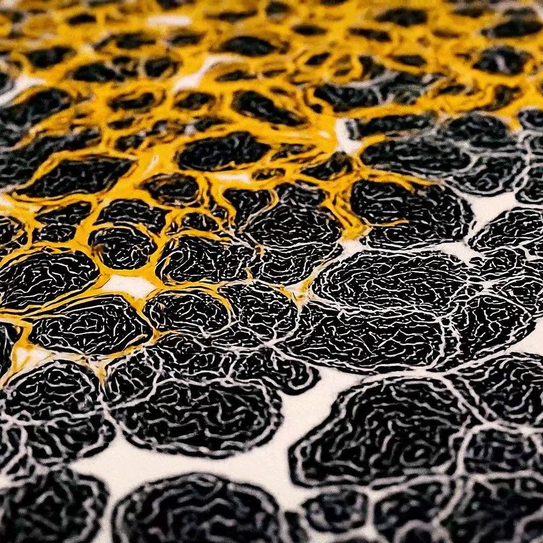 Porfolio thumbnail
